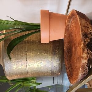 SALE ❤️turquiose/burl Dish For Decor Trinket Or Display